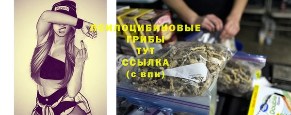 MDMA Богородск